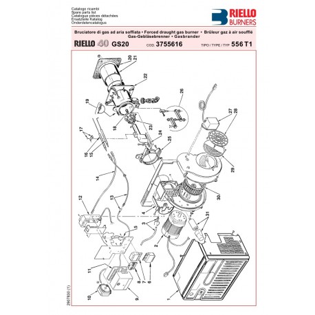 Riello GS20