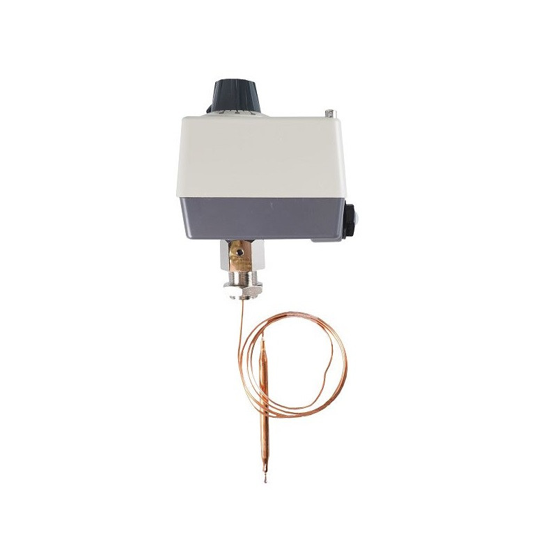 JUMO ATHf-1  0...100 ° C  1000mm