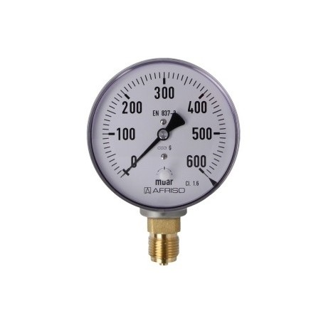 Manometr gazowy, radialny 0-600 mbar, Ø 100 mm